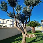 Apartment Danijela Vodice