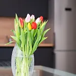 Danijela