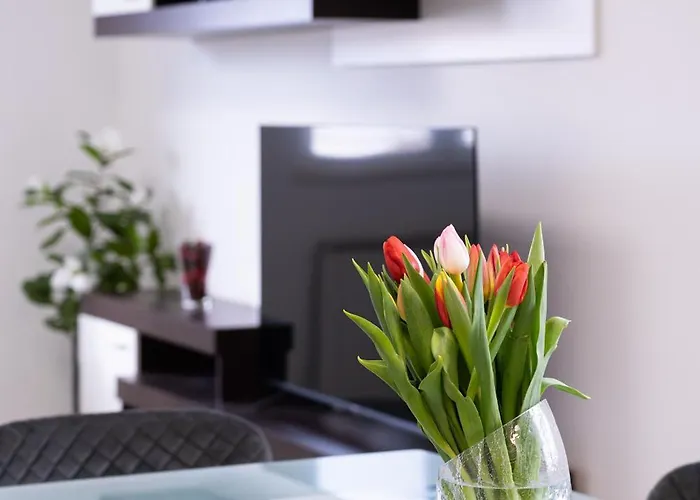 Danijela Водице